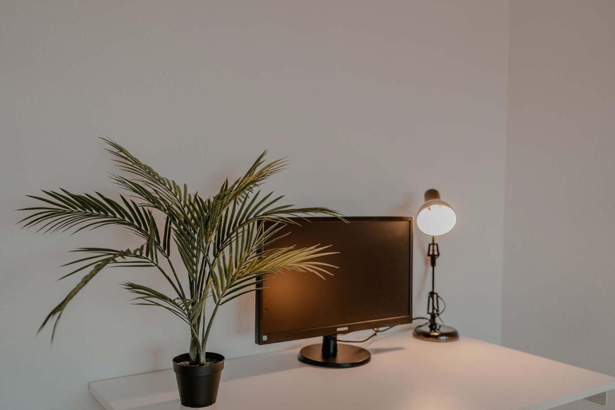 Apartment Mit Kueche, Arbeitsplatz Und Xxl Sofa Нойс Екстериор снимка